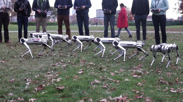 Видео дня: стайка четвероногих мини-роботов кувыркается, делает сальто и гоняет мячик